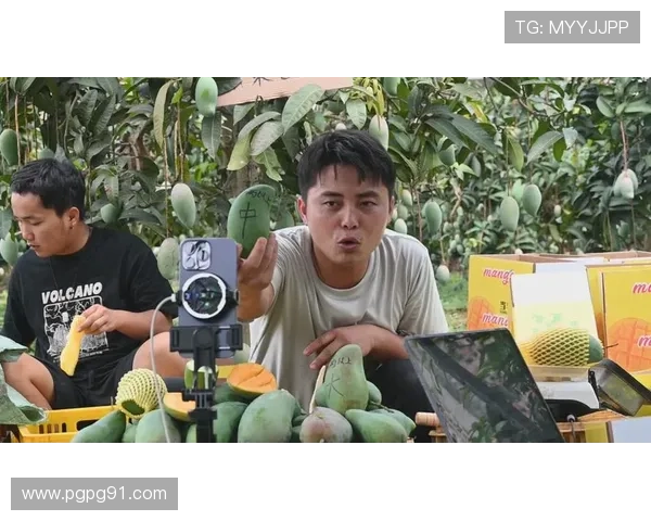 百色综合频道高清直播实时在线观看